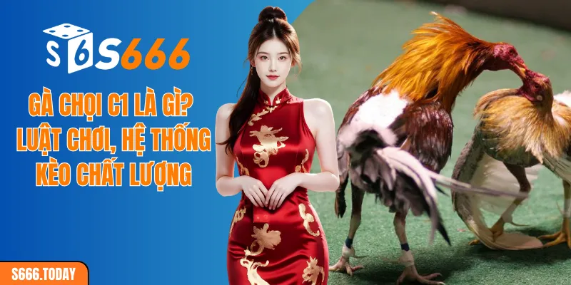 Gà chọi C1 là gì? Luật chơi, hệ thống kèo chất lượng